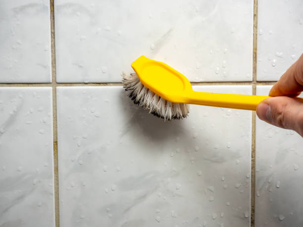 Hollister, CA Mold Remediation Company